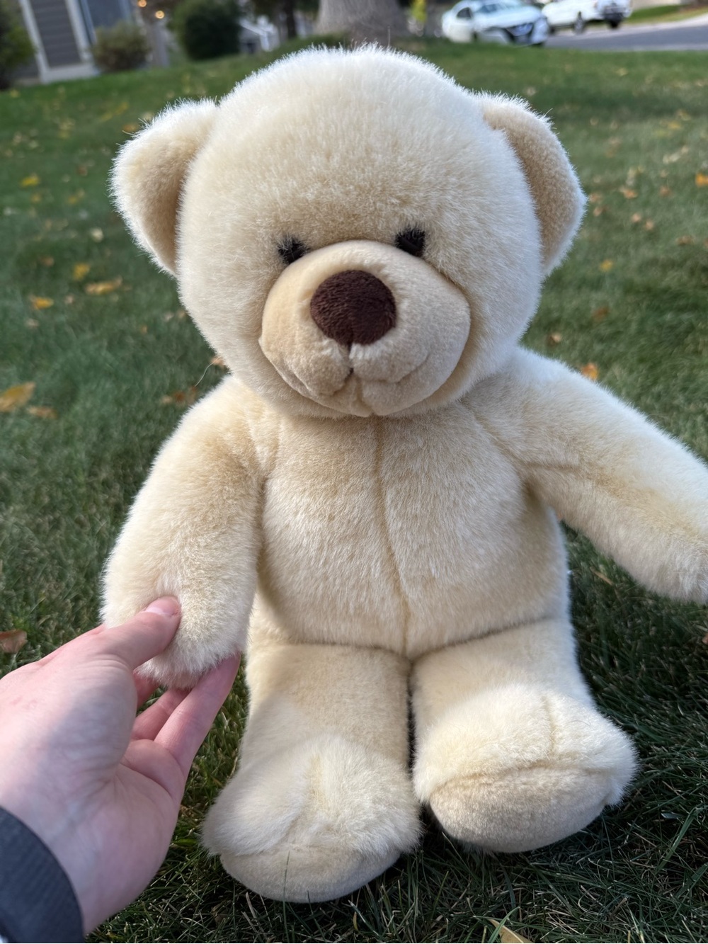 Build a bear cream bear
